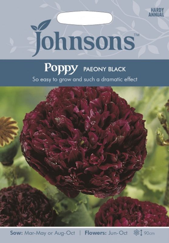 Pionvalmue 'Paeony Black' - Papaver somniferum