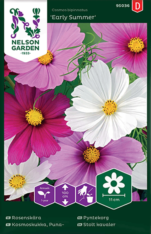 Pyntekorg 'Early Summer' - Cosmos bipinnatus
