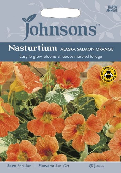 Hovedbilde Blomkarse 'Alaska Salmon Orange', lav - Tropaeolum majus