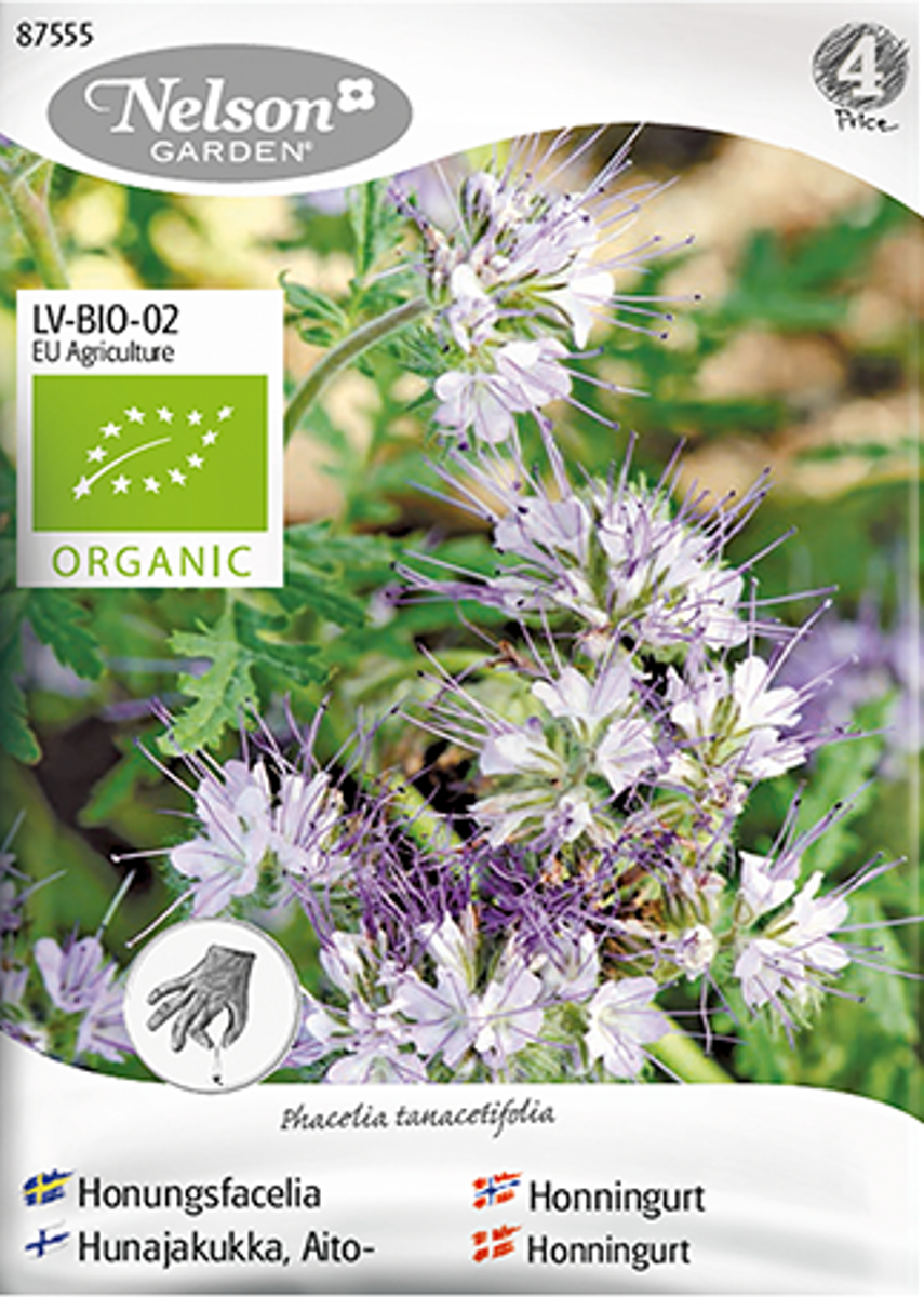 Honningurt - Phacelia tanacetifolia - Oganic