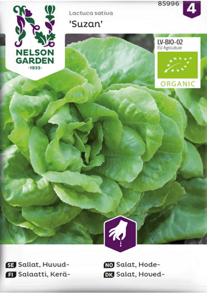 Hovedbilde Hodesalat 'Suzan', organic - Lactuca