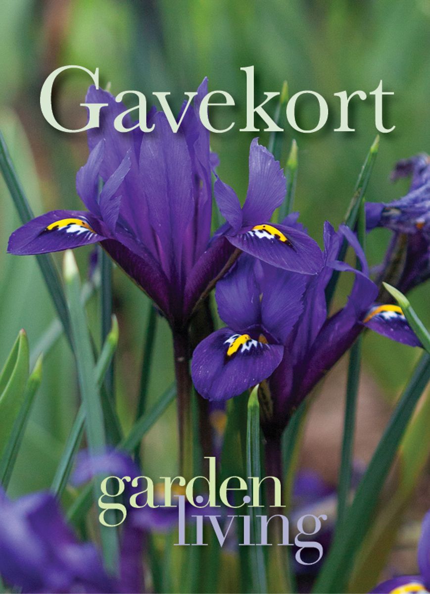 Gavekort