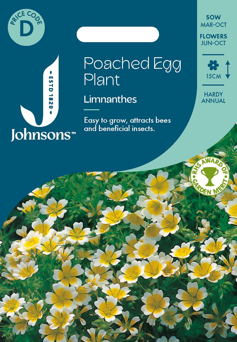 Sumpsnabel - Limnanthes douglasii