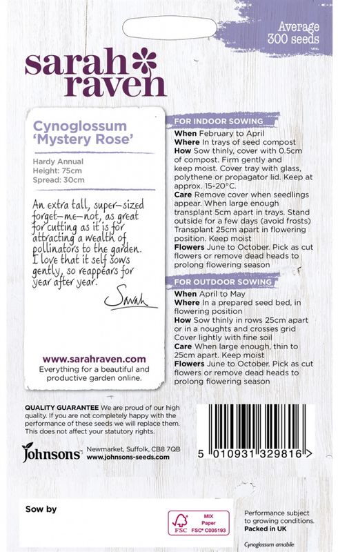 Kinesisk forglemmegei 'Mystery Rose' - Cynoglossum amabile