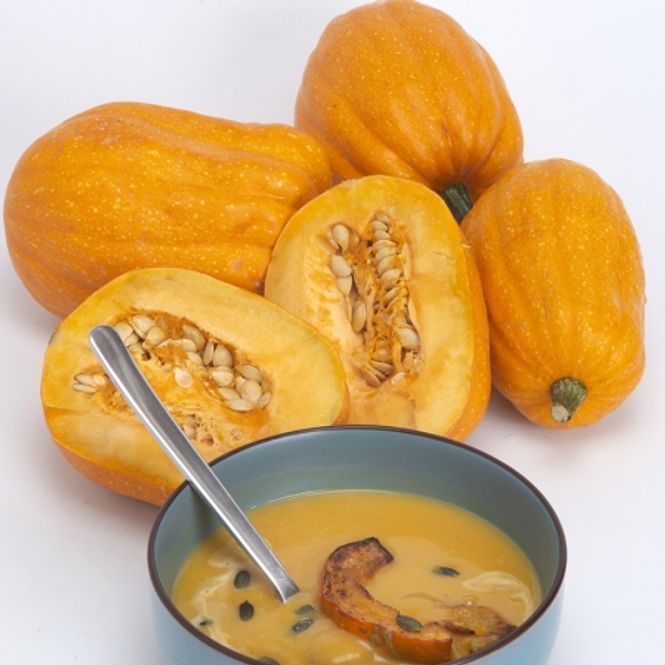 Hovedbilde Gresskar 'Pippin' - Cucurbita pepo