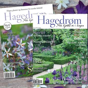Hovedbilde Magasinet Hagedrøm