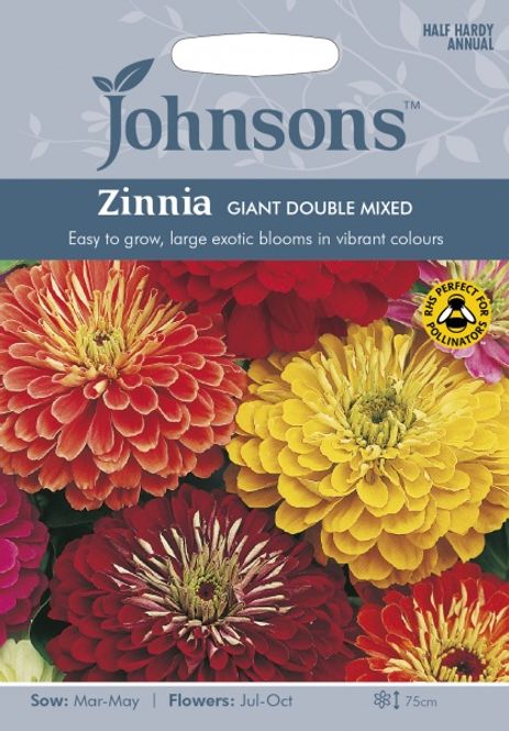 Hovedbilde Sinnia 'Giant Double Mixed' - Zinnia elegans