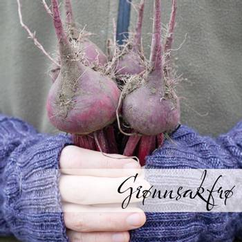 Hovedbilde Grønnsakfrø