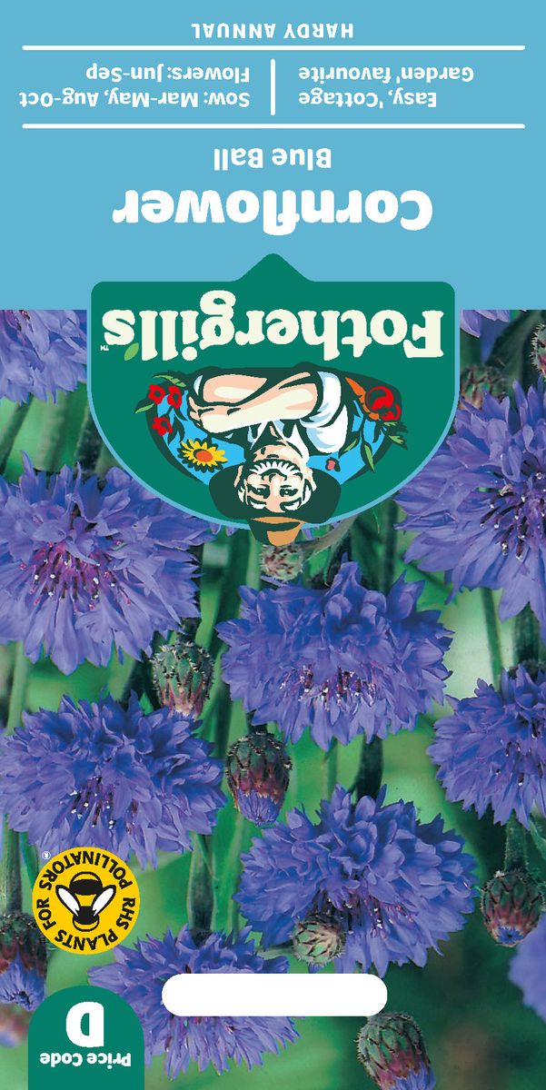 Kornblomst 'Blue Ball' - Centaurea cyanus