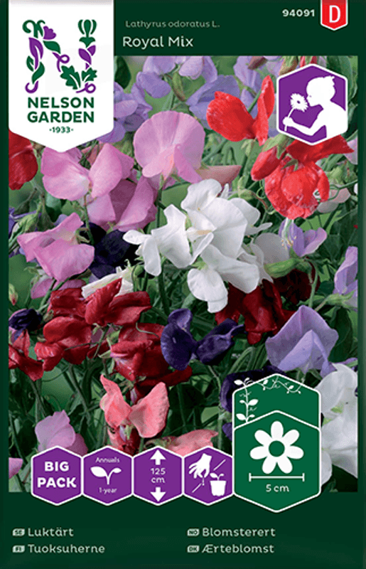 Blomsterert 'Royal Mix' - Lathyrus odoratus, Big pack