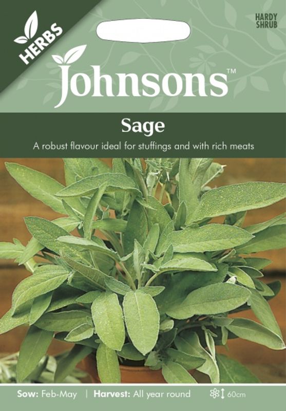 Salvie - Salvia officinalis