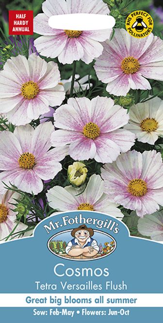 Hovedbilde Pyntekorg 'Tetra Versailles Flush' - Cosmos bipinnatus