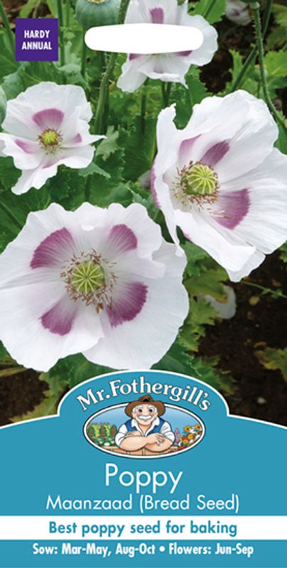 Pionvalmue 'Maanzaad’ - Papaver somniferum