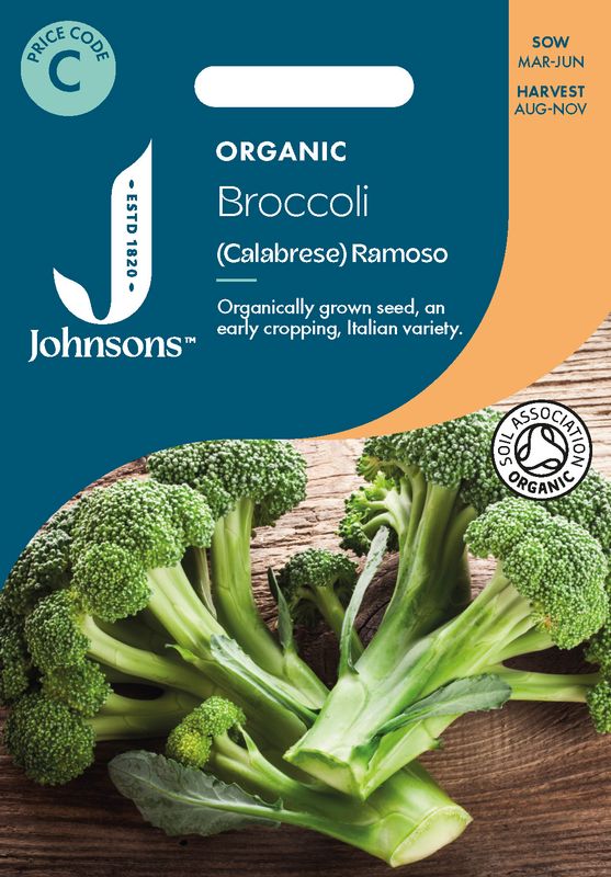 Brokkoli 'Ramoso' - Brassica oleracea, Organic