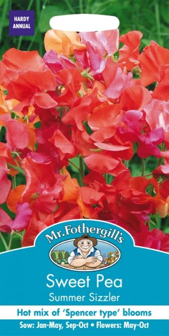Hovedbilde Blomsterert 'Summer Sizzler' - Lathyrus odoratus