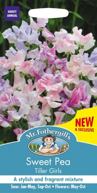 Hovedbilde Blomsterert 'Tiller Girls' - Lathyrus odoratus