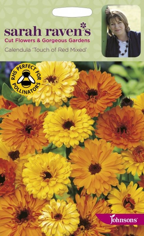 Ringblomst 'Touch of Red Mixed - Calendula officinalis 