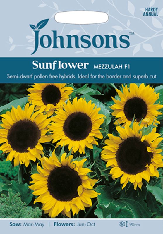Solsikke 'Mezzulah - Helianthus annuus 