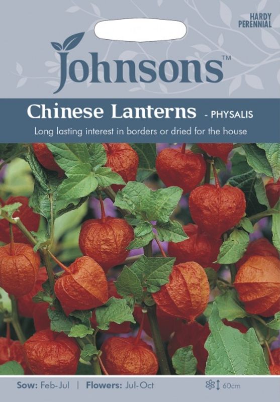 Japansk lykt - Physalis alkekengi