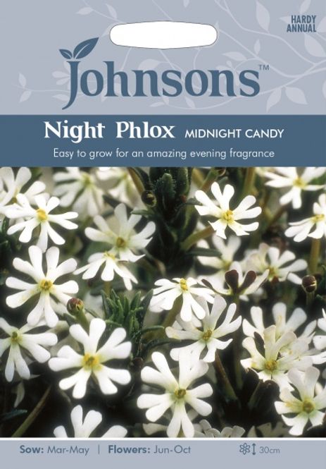 Hovedbilde Zaluzianskya capensis 'Midnight Candy'