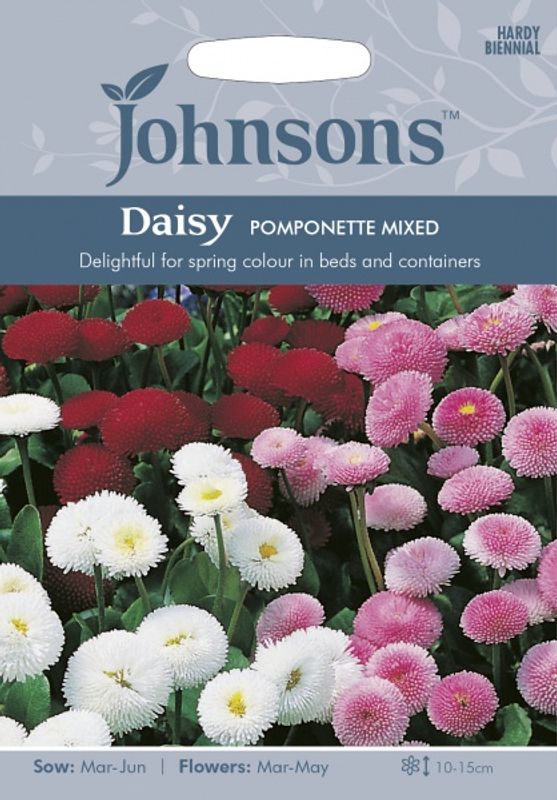 Tusenfryd 'Pomponette Mixed' - Bellis perennis 