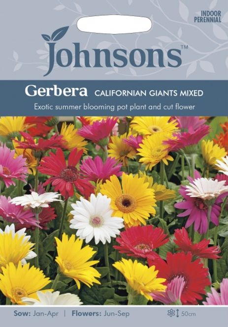 Hovedbilde Gerbera ' California Giants Mixed' - Gerbera jamesonii
