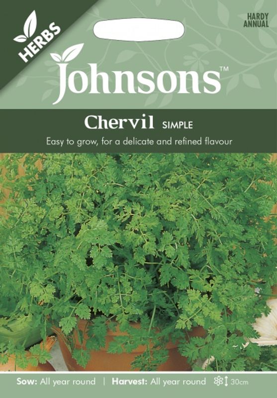 Kjørvel - Anthriscus cerefolium