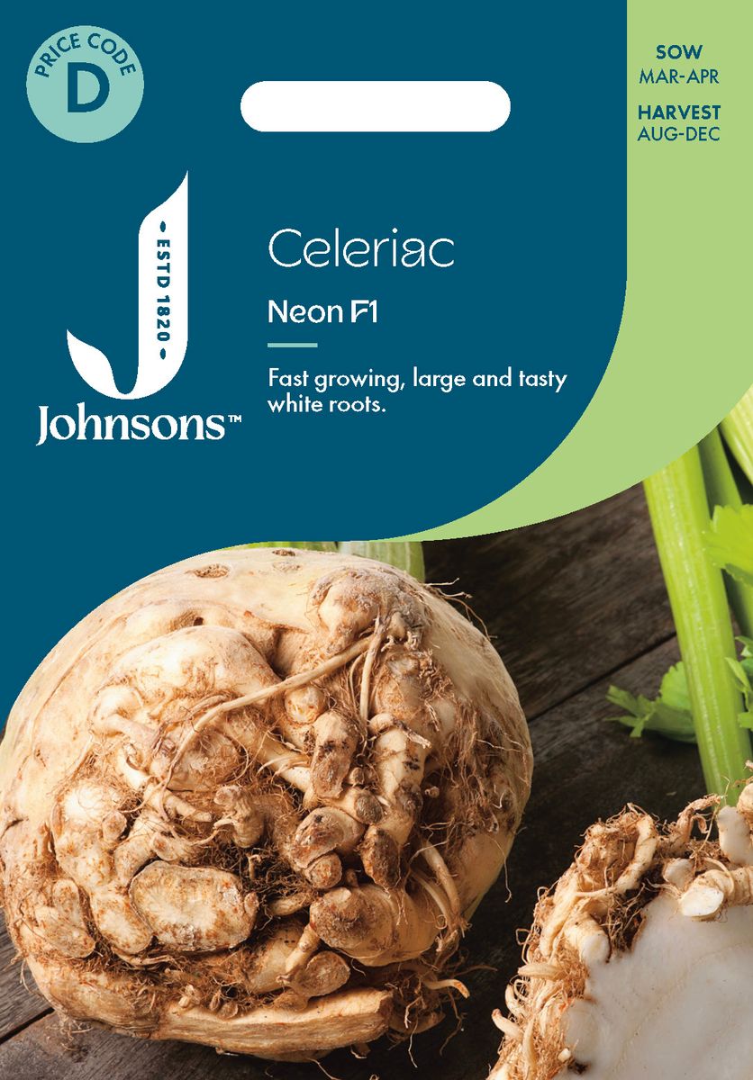 Sellerirot/knollselleri 'Neon' F1 - Apium graveolens