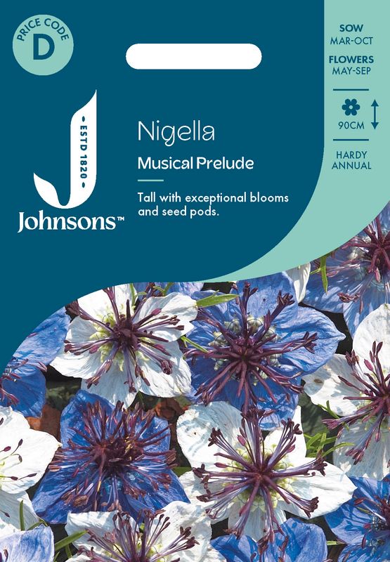 Spansk svartfrø 'Musical Prelude' - Nigella papillosa