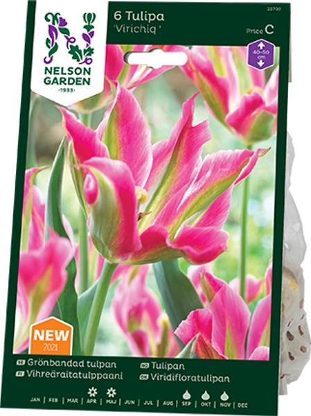 Hovedbilde Tulipan 'Virichiq’, Viridifloragruppen - 6 stk