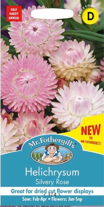 Hovedbilde Høststråblomst 'Silvery Rose' - Xerochrysum bracteatum