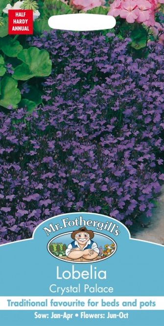 Hovedbilde Lobelia 'Crystal Palace’ - Kantlobelia