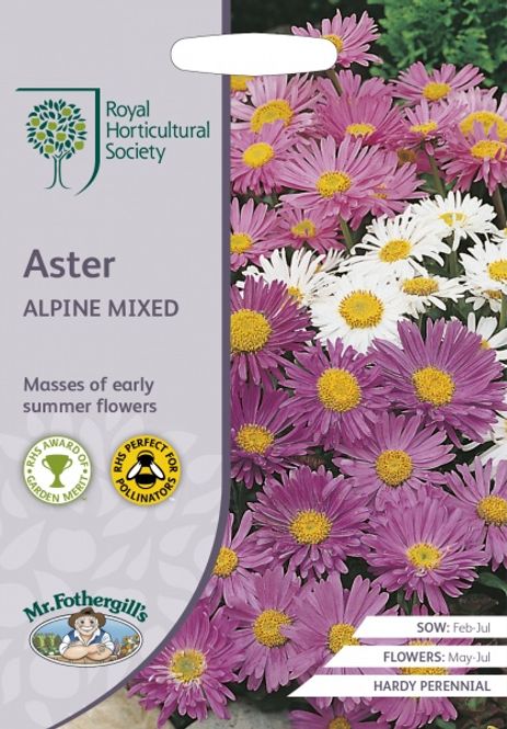 Hovedbilde Alpeasters Mixed - Aster alpinus 