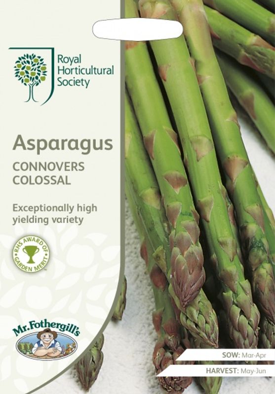 Asparges 'Connover's Colossal' - Asparagus officinalis 