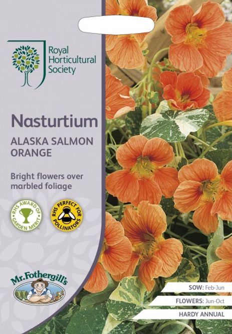 Hovedbilde Blomkarse 'Alaska Salmon Orange', lav - Tropaeolum majus