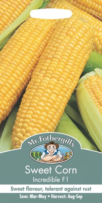 Hovedbilde Mais 'Incredible' F1 - Zea mays 