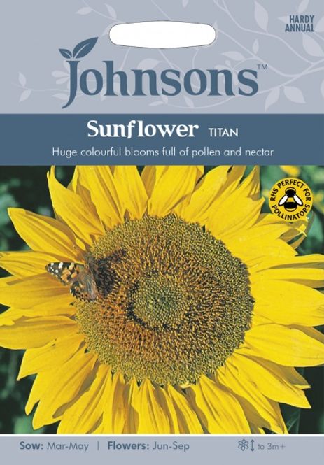Hovedbilde Solsikke 'Titan' - Helianthus annuus