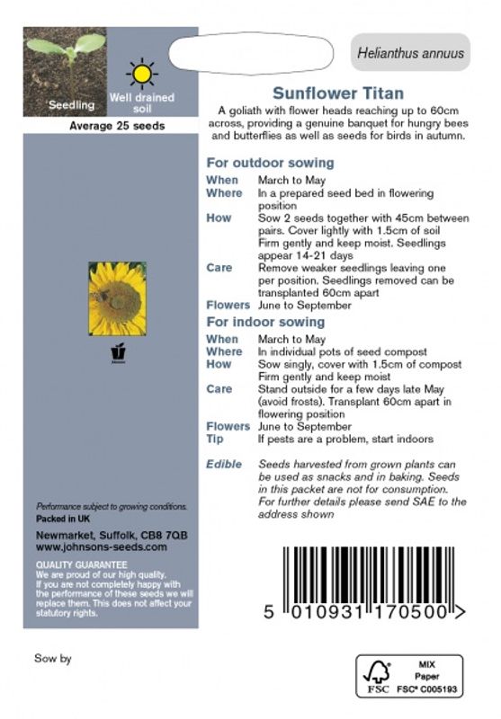 Solsikke 'Titan' - Helianthus annuus