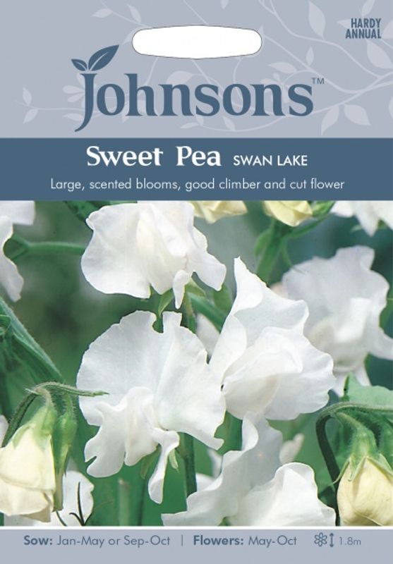 Blomsterert 'Swan Lake' - Lathyrus odoratus
