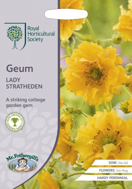 Hovedbilde Prakthumleblom ‘Lady Stratheden' - Geum chiloense 