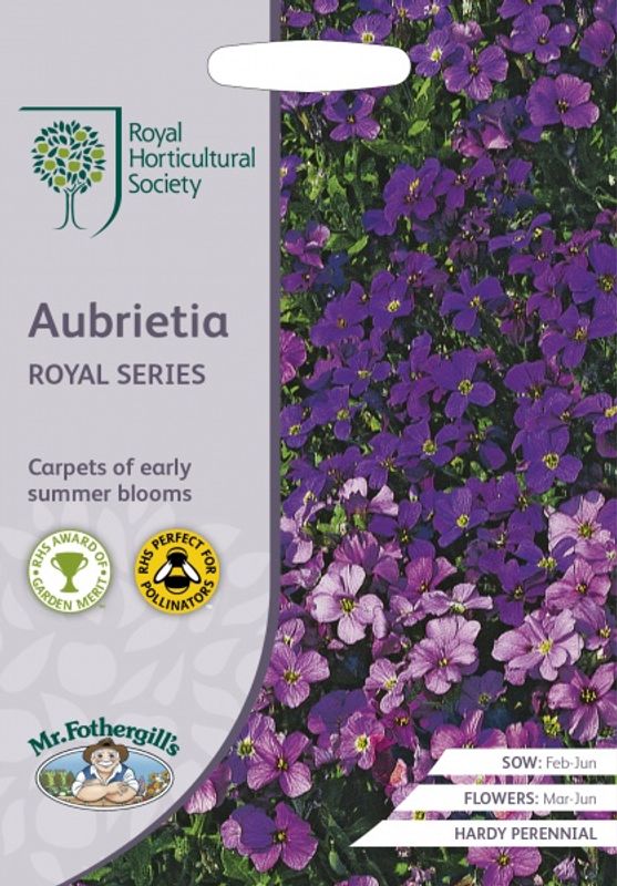 Blåpute 'Royal Series' - Aubrieta 
