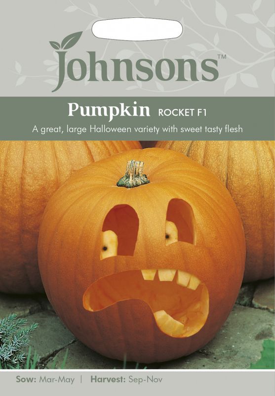 Gresskar 'Rocket’ F1 - Cucurbita pepo