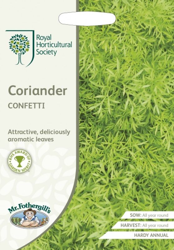 Koriander 'Confetti' - Coriandrum sativum