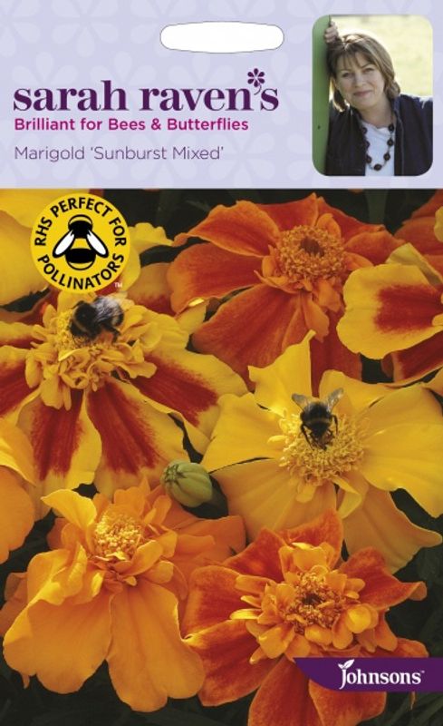 Fløyelsblomst 'Sunburst Mixed' - Tagetes patula x erecta