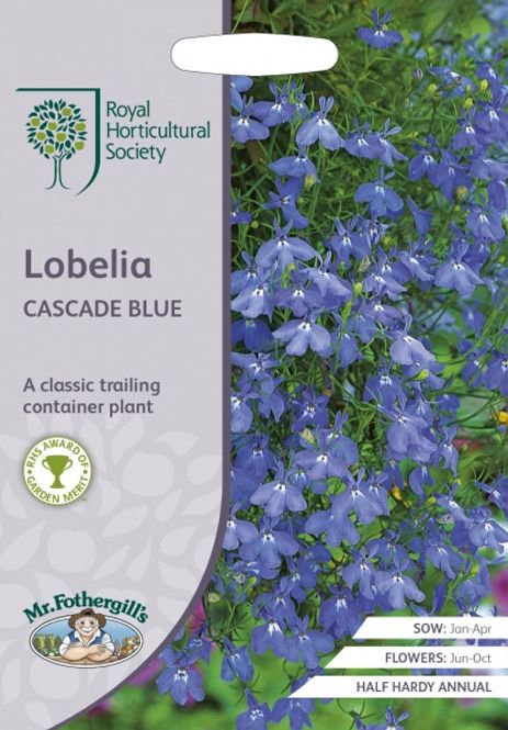 Hovedbilde Lobelia 'Blue Cascade -  Lobelia erinus, Hengelobelia