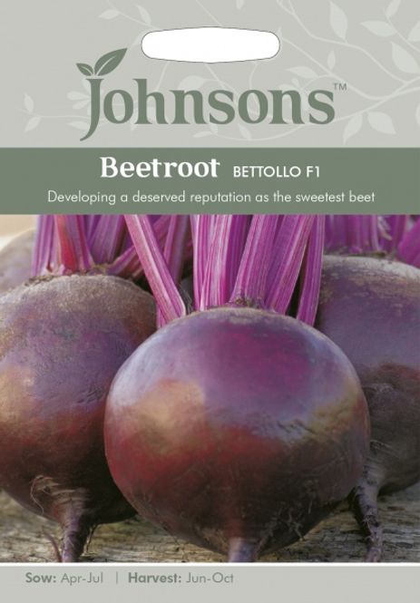 Hovedbilde Rødbete 'Bettollo F1 - Beta vulgaris