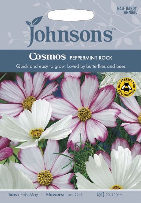Hovedbilde Pyntekorg 'Peppermint Rock' - Cosmos bipinnatus