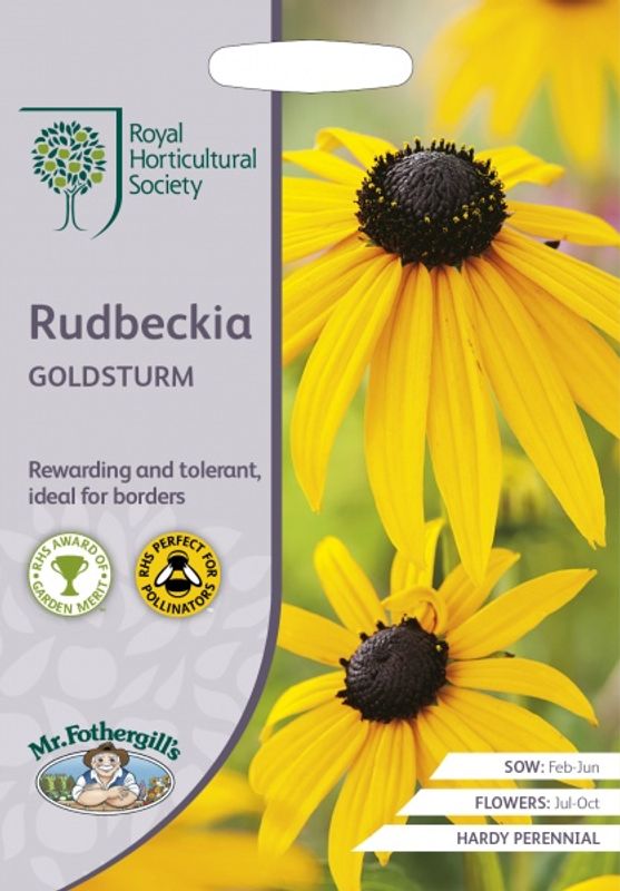 Praktsolhatt ’Goldsturm’ - Rudbeckia fulgida 