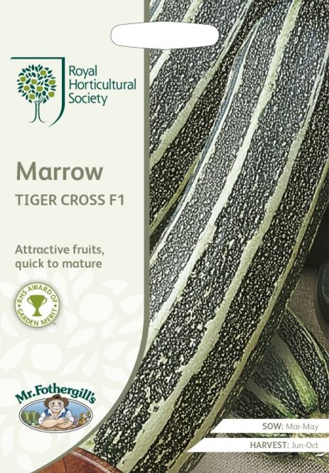 Hovedbilde Squash 'Tiger Cross' F1 - Cucurbita pepo