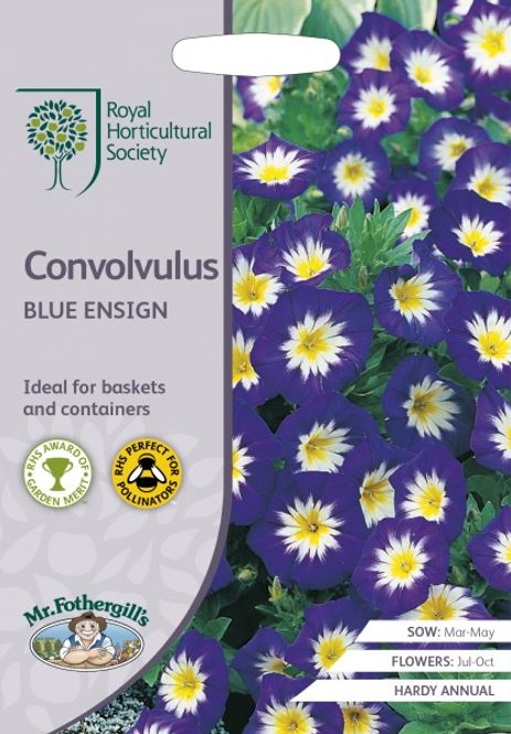 Hovedbilde Trikolorvindel 'Blue Ensign' - Convolvulus tricolor